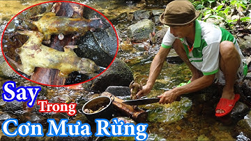 Say Cùng Chiến Hữu Trong Rừng, Ngủ Rừng, Đánh Bẫy, Săn Bắt Trong Rừng - Rừng Mưa Dông | T6