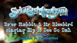 Splash Mountain - Brer Rabbit & Bluebird Singing Zip-A Dee Do Dah Vocals Only Wdw