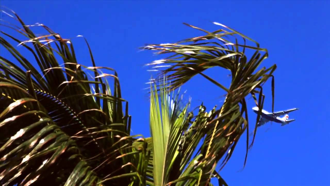Watch Sander van Doorn Koko Official Miami 2011 Aftermovie HD on YouTube Watch Sander van Doorn Koko Official Miami 2011 Aftermovie HD on YouTube