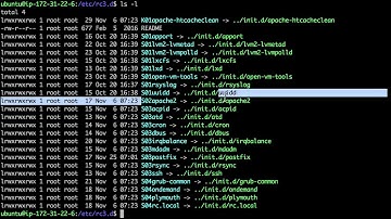 Linux - daemon 2 : service & auto start