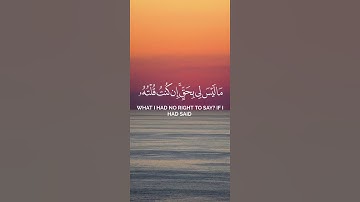 #القرآن_الكريم #اكسبلور #المصحف #راحة_نفسية #تلاوة_قرآن #اكسبلور_explore 
