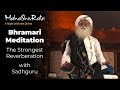 Bhramari meditation  the strongest reverberation  sounds of isha  magashivratri  sadhguru time