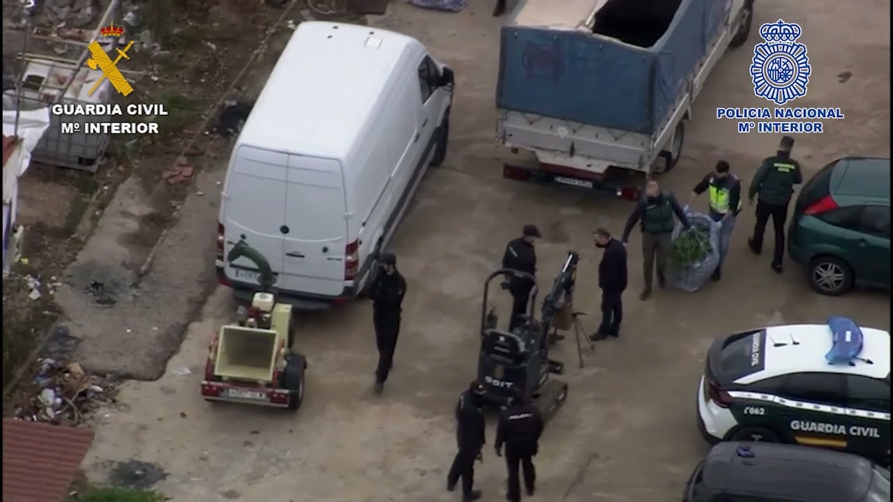 Desarticulada en Valencia organización criminal que traficaba con marihuana a nivel internacional