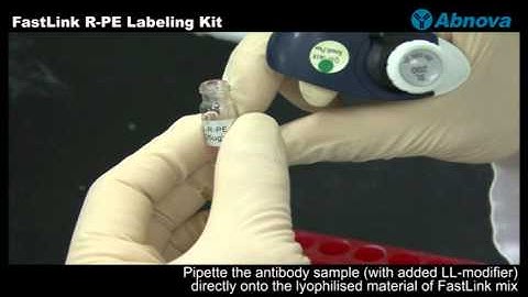 FastLink R-PE Labeling Kit