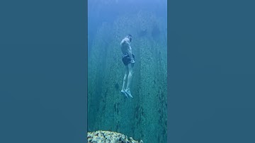 Freefall from the surface. Barracuda Lake, Coron Palawan, The Philippines 🇵🇭