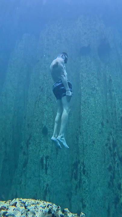 Freefall from the surface. Barracuda Lake, Coron Palawan, The Philippines 🇵🇭