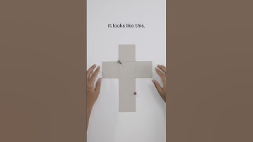 Shortest path? Just unfold the cube! 📦