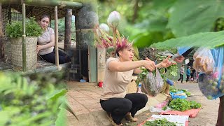 Harvesting wild vegetables to sell at the market, lythiba