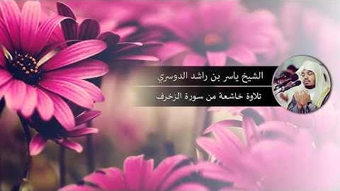 تلاوة خاشعة  من سورة الزخرف - الشيخ ياسر الدوسري