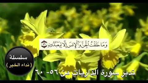 تدبر سورة الذاريات( ١٣)  من الآيه ٥٦- ٦٠ نهاية السورة  د. عقيل الشمري