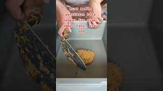 Tutorial menetaskan telur maggot BSF 100% Berhasil