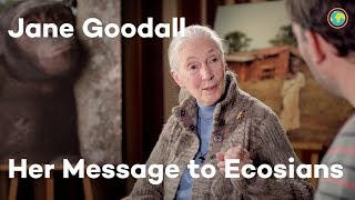 Ecosia Interviews Dr. Jane Goodall