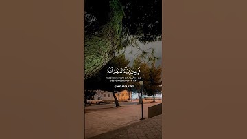 تلاوة تشرح الصدر بصوت ماجد العماري