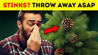 If Your Christmas Tree Smells Bad, Here's Why