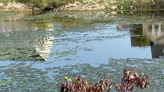 AP Environmental Science Unit 1: Eutrophication Field Lesson