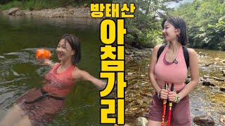 오지 계곡 트레킹!!! 아마존이 따로 없다!! 🤭🤭 | 강원도 인제 방태산 아침가리계곡트레킹