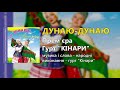 Дунаю-Дунаю - гурт "Кінари" - Прем'єра