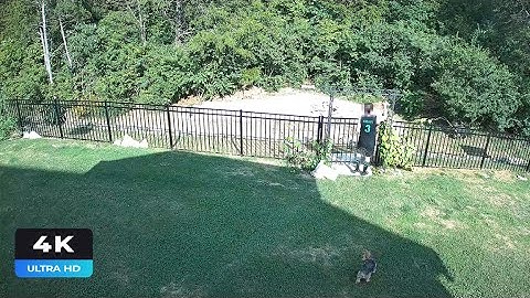 Reolink Captures: Couple Pranks (4K)