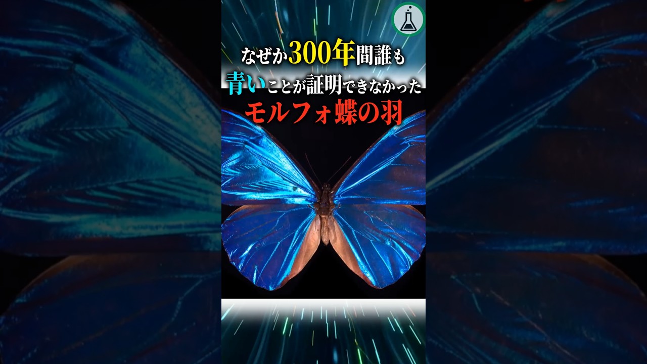 For some reason, no one has been able to prove that the wings of