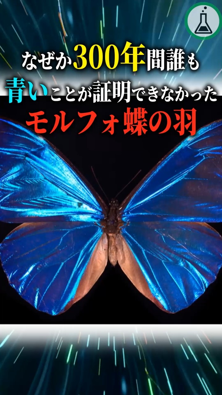 For some reason, no one has been able to prove that the wings of