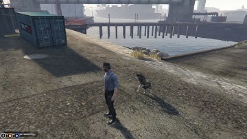 [QB]QbCore - Petmenu | FIVEM | ENJOY | QBUS