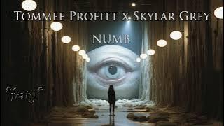 Tommee Profitt & Skylar Grey - Numb