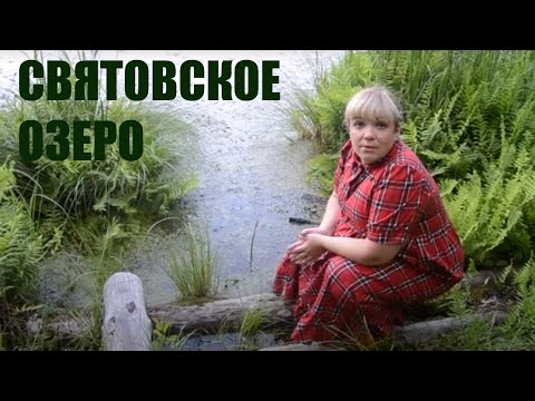 Святовское озеро (Тамбовская область)