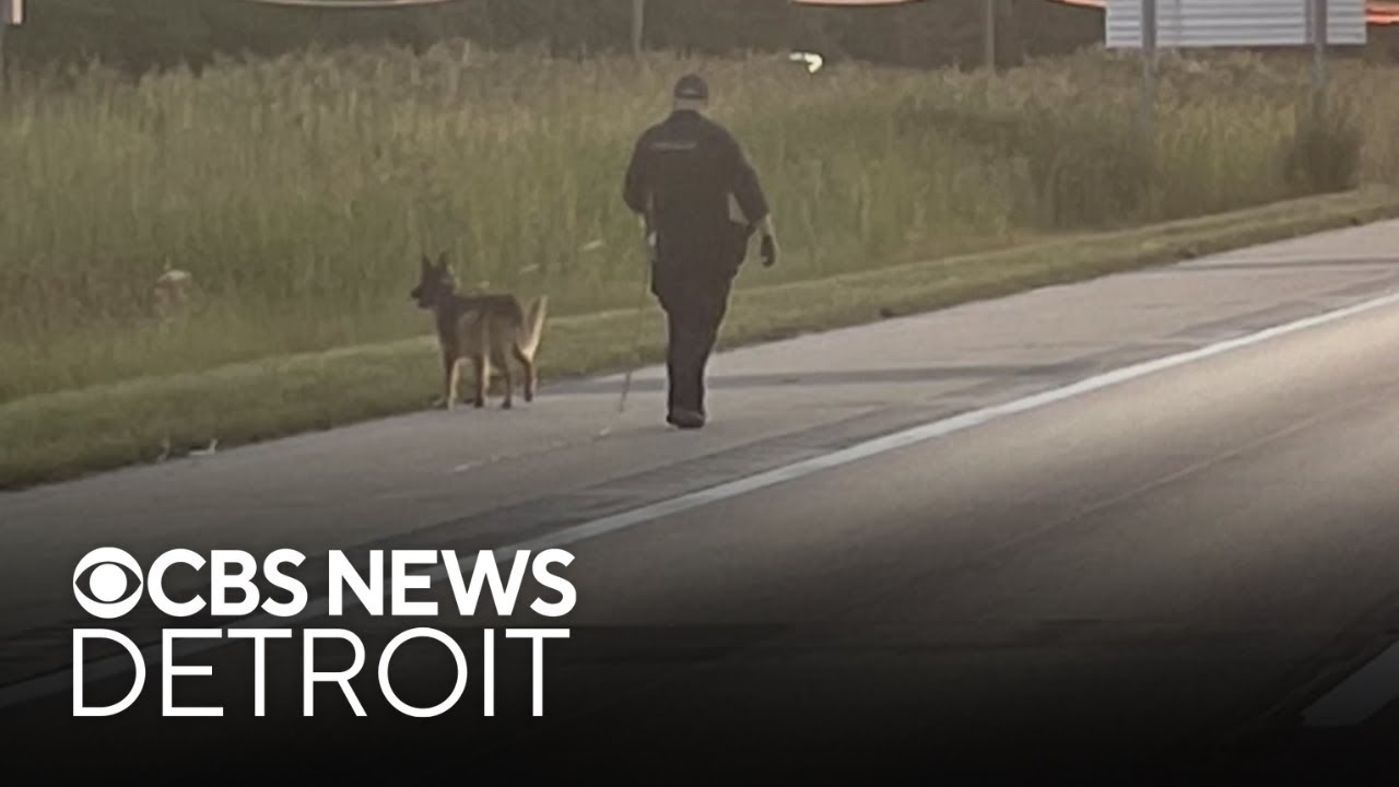 Authorities investigate shooting on I-94 in Wayne County