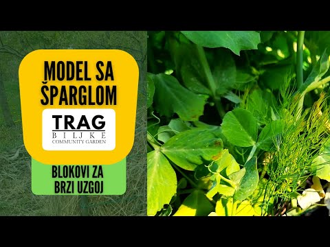 Video: Mini biljke: Uzgoj vrlo malih biljaka