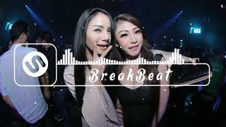 DJ Seberkas Sinar Nike Ardilla - Musik Breakbeat Indonesia