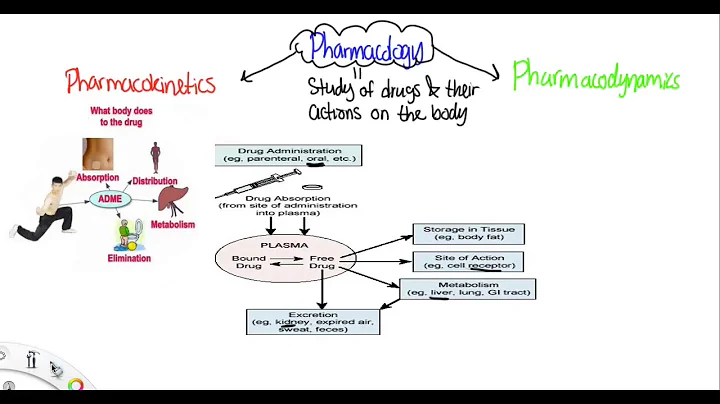 Video quiz 1 Basics of Pharmacology