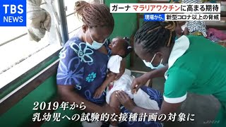 新型コロナ以上の脅威 アフリカで高まるマラリア・ワクチンへの期待【現場から、】