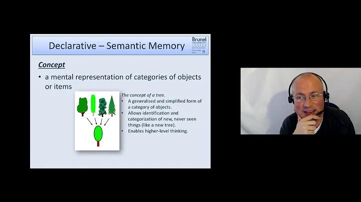 Cognitive Psychology Lecture 05 - Long Term Memory (LTM) - Part 2 (Declarative Semantic Memory)