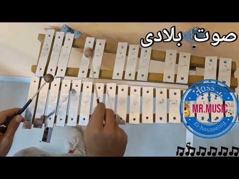 صوت بلادى عزف على الأكسليفون