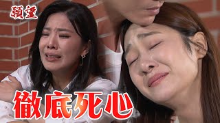 願望 EP238預告 麗君撂狠話：不想照顧瞎子 讓冬雨死心徹底離開她！ ｜@setdramatw​