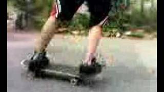 Flatland