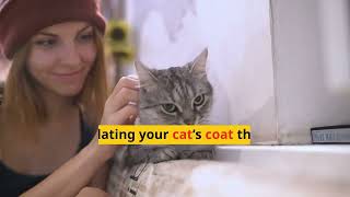 What is Petting Aggression in Cats | Benefits of Petting Your Cat in the Right Way.