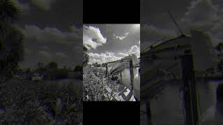 Pill! (Visual)