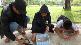 OkNotOk - Save my bird please screenshot 2