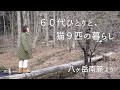 【八ヶ岳🍃147話】猫だらけで、猫まみれの、64歳一人と9匹たちとの愛おしい日々🐈/適度にテキトー、程よくテキトー、そんな暮らしぶり/定番チョコレートケーキ/リュウジ・レシピ「ローストチキン」を作る