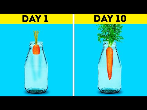 18 AWESOME HACKS TO GROW YOUR OWN PLANTS