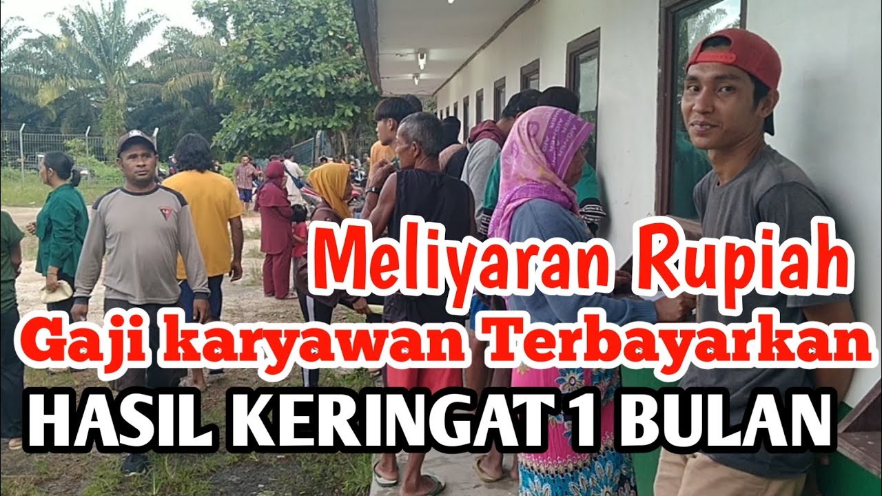 Gajihan Karyawan Perkebunan kelapa sawit Kalimantan tengah