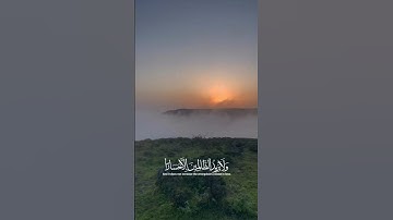 سورة الإسراء 🤍🕊️ #quran #تلاوة_خاشعة #قرآن #قران_كريم #اكسبلور #explore #tilawat #fyp #حالات_واتس