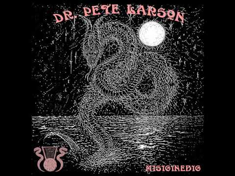 Dr. Pete Larson and his Cytotoxic Nyatiti Band "Misiginebig"