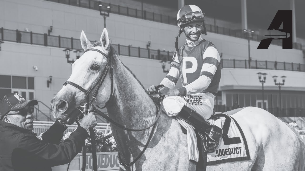 Aqueduct Simulcast November 9 2024 YouTube aqueduct-simulcast-november-9-2024-youtube