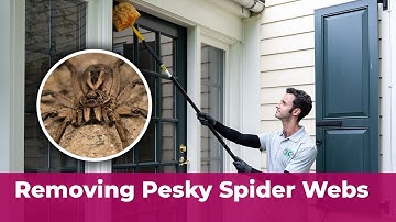Removing pesky spider webs with Killingsworth Environmental