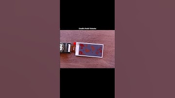 What is Ineractive Signage Project? Digital Cat Counts