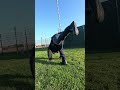 Solo wrestling training Part 11 (4K) (2024)