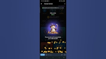 Hamster Kombat Daily Combo Cards 26 June – Earn 5 Million Coins Daily #hamsterkombat