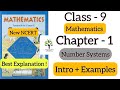 Number System | Class 9 | Phoolifa Academy |